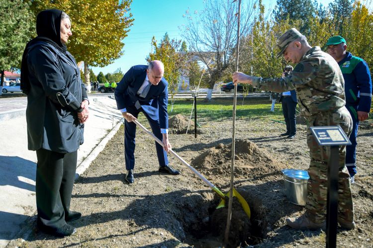Şəhidlərin xatirəsinə ağacəkmə aksiyası keçirilib<font color=red> - FOTOLAR</font>