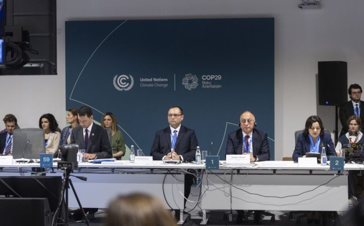 COP29 çərçivəsində Fermerlər üçün Bakı Harmoniya İqlim Təşəbbüsü elan edilib