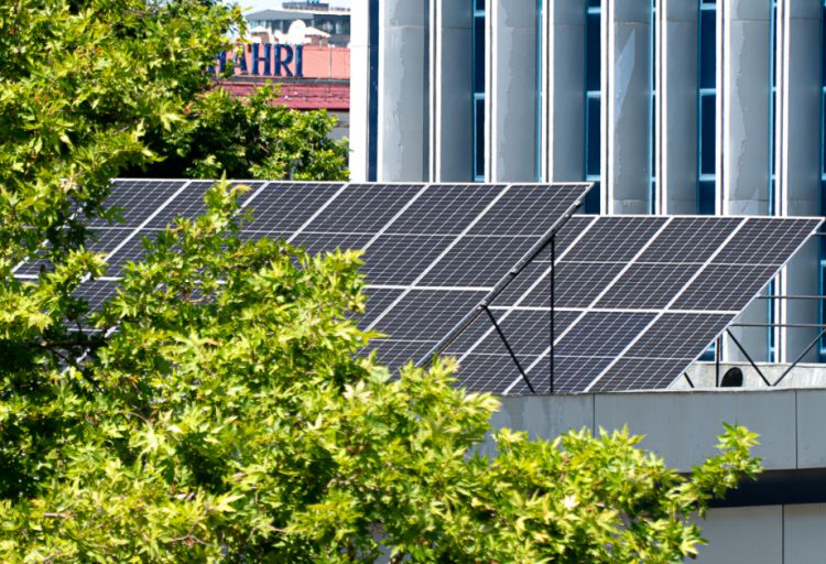 Özbəkistanda 2025-ci il yaşıl iqtisadiyyat ili elan olunub