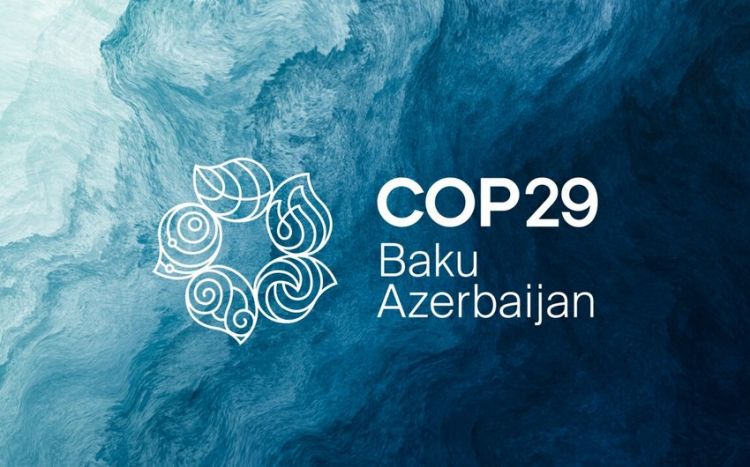 UNEP rəhbəri: Bakıda COP29-da quracağımız gələcəyin təməli qoyulub