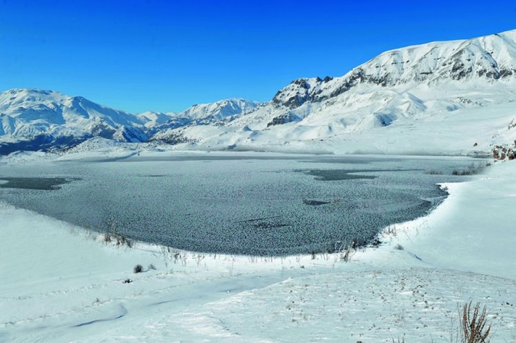 Naxçıvanda və dağlıq rayonlarda 8 dərəcəyədək şaxta qeydə alınıb