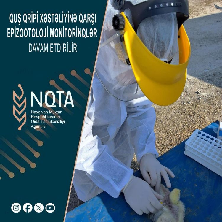 Muxtar respublika ərazisində növbəti epizootoloji monitorinqlər keçirilib