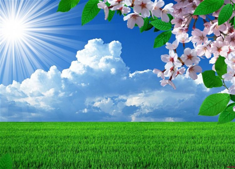 Sabahdan havanın temperaturu yüksələcək, 18 dərəcə isti olacaq