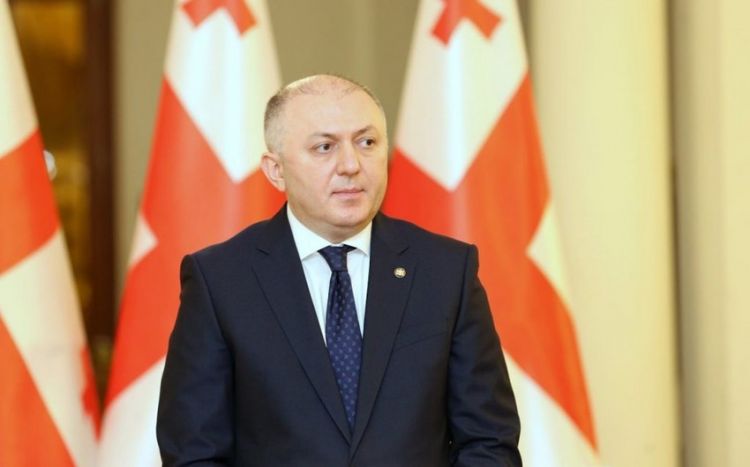 Gürcüstanın DTX rəhbəri istefa verib