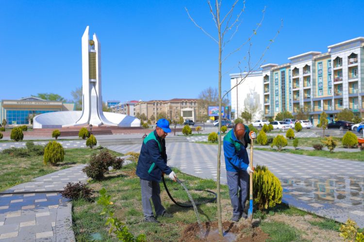 Naxçıvan şəhərində Xan çinarı və akasiya ağacları əkilir<font color=red> - FOTOLAR</font>