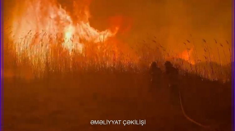 Naxçıvanda açıq ərazidə yanğın olub<font color=red> - FOTOLAR</font>