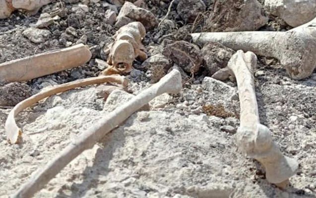 Ağdərədə insana məxsus olduğu ehtimal edilən skelet fraqmentləri aşkarlanıb