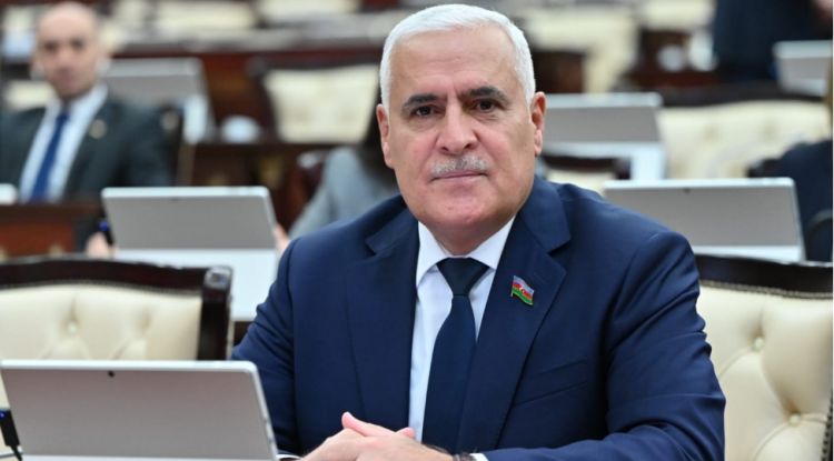 Vüqar Rəhimzadə: Azərbaycan enerji sahəsində etibarlı tərəfdaşdır 