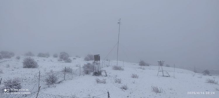 Batabatda qarın hündürlüyü 7 santimetr olub<font color=red> - FOTOLAR</font>