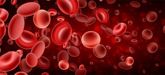 Aprelin 17-də Ümumdünya Hemofiliya Günü qeyd olunur