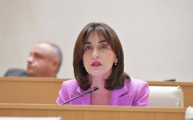 Boçorişvili: Üçtərəfli əməkdaşlıq üzrə fikir mübadiləsi regionun inkişafı üçün vacibdir