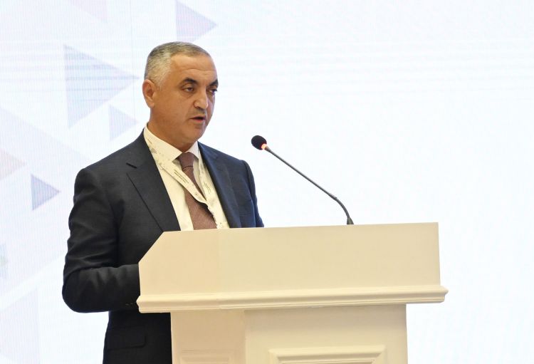 Xüsusi nümayəndə: Ermənistan işğal dövründə Azərbaycanın təbii sərvətlərini talan edib