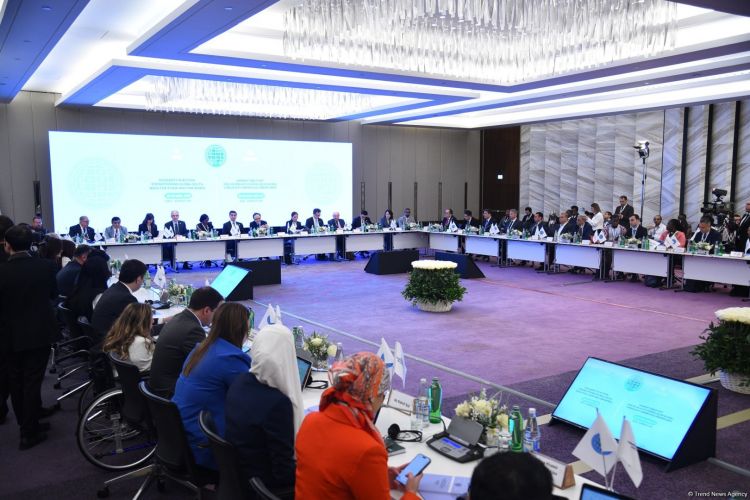 Qlobal Cənub QHT Platforması çərçivəsində “Firavan Gələcək üçün D-8 Əməkdaşlığı" müzakirə olunub