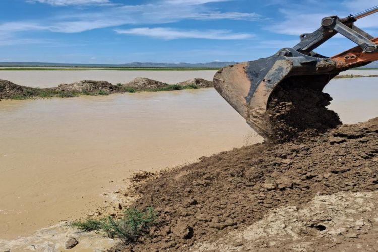 ADSEA: Transsərhəd və yerli çaylarda sululuq səviyyəsi artıb