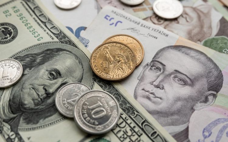 Ukrayna baza valyuta kimi dollardan avroya keçid imkanını nəzərdən keçirir