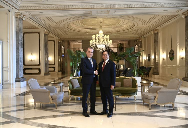 Azərbaycanın və Vyetnamın xarici işlər nazirləri beynəlxalq təhlükəsizlik məsələlərini müzakirə ediblər