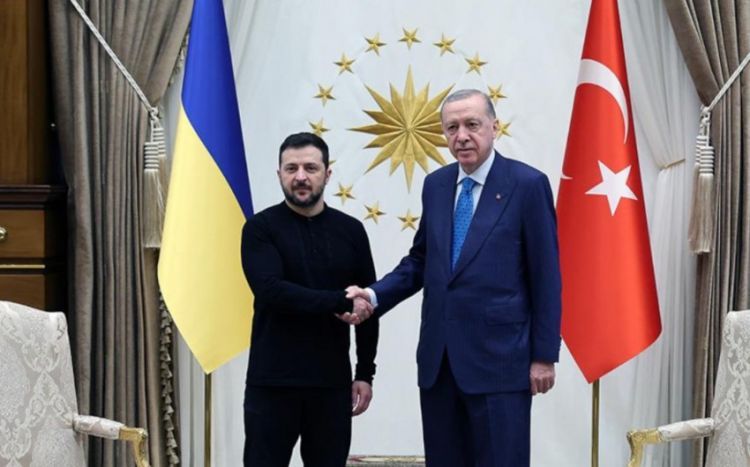 Ərdoğan və Zelenski arasındakı görüş başa çatıb 