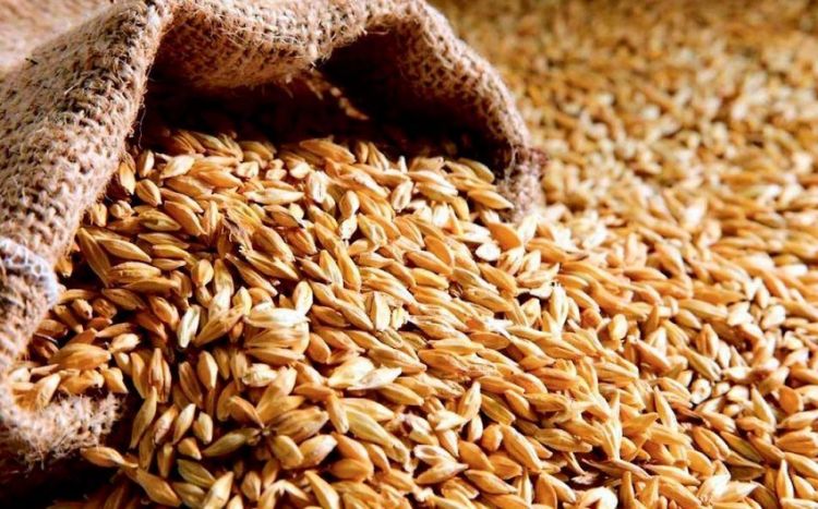 Azərbaycan buğda idxalını 57 % artırıb