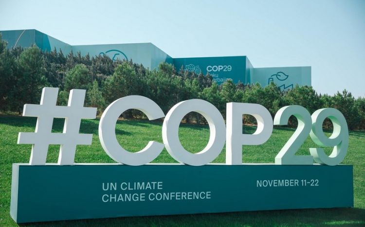 COP29 komandası XI Nevski Beynəlxalq Ekoloji Konqresində iştirak edəcək
