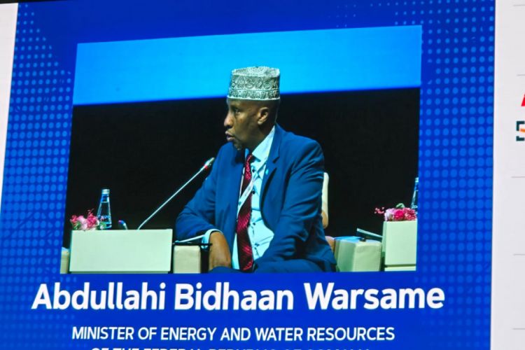 Nazir: Somali bərpaolunan enerji sahəsində Azərbaycanla əməkdaşlığı genişləndirir