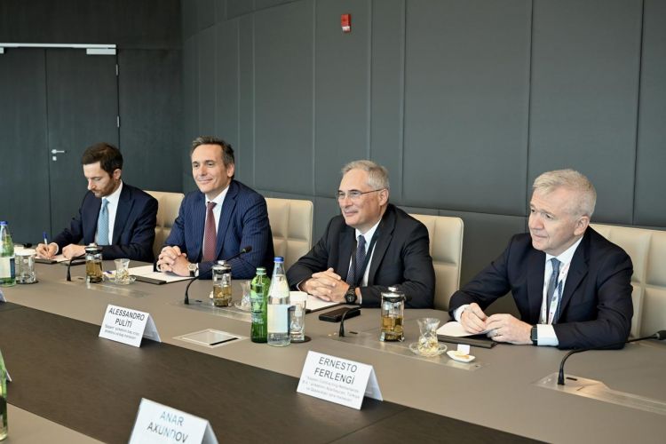 Azərbaycan İtaliya şirkəti ilə əməkdaşlıq perspektivlərini müzakirə edib
