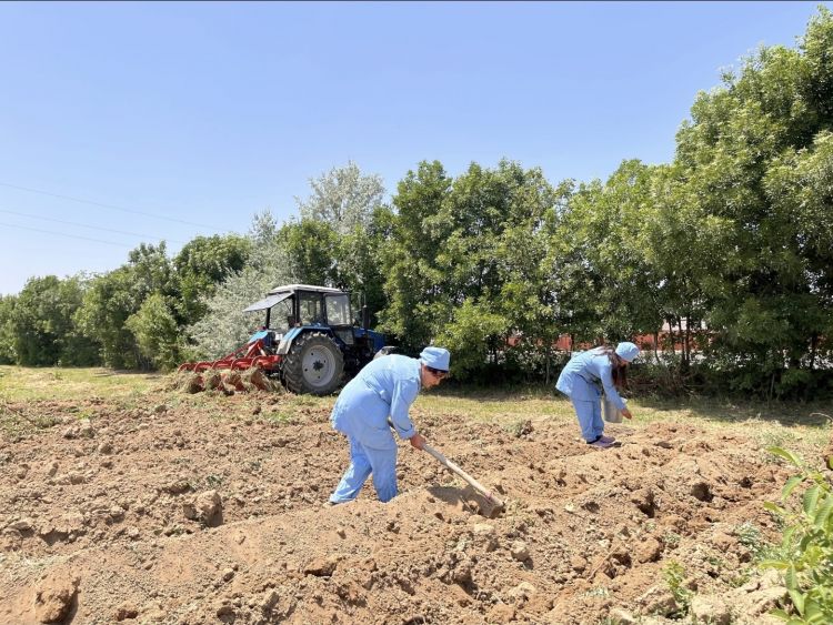 Naxçıvanda yaz əkin mövsümündə genişmiqyaslı yaşıllaşdırma işləri aparılıb<font color=red> - FOTOLAR</font>