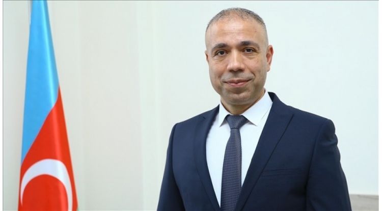 Elnur Soltanov: "Azərbaycan ən çox elektrik enerjisini Türkiyəyə ixrac edir"