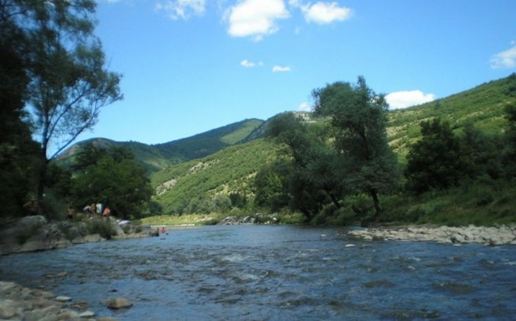 Çaylarda müşahidə olunan faktiki vəziyyət açıqlanıb