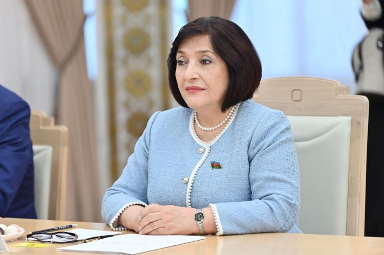 Sahibə Qafarova Azərbaycanın TÜRKPA-ya sədrliyi barədə hesabat verib
