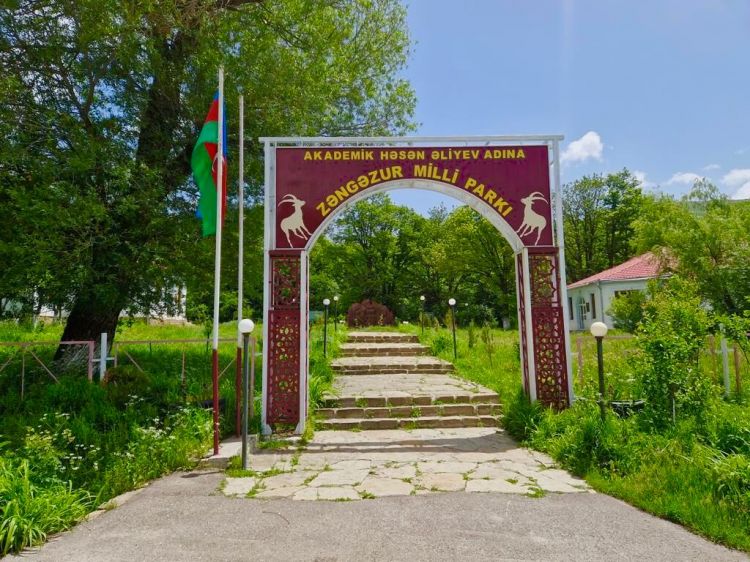16 İyun-Akademik Həsən Əliyev adına Zəngəzur Milli Parkının Yaranması Günü
