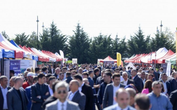 Azərbaycandakı Aqrar Biznes Festivallarında 8 milyon manatlıq məhsul satılıb