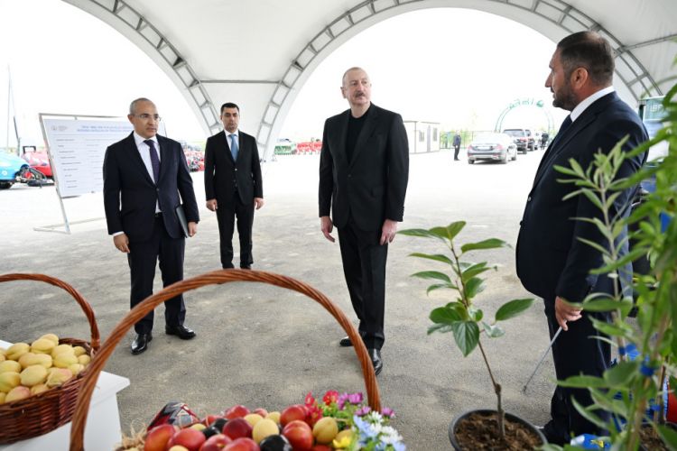 Prezident İlham Əliyev Yevlax pilot aqroparkının açılışında iştirak edib<font color='red'> - YENİLƏNİB</font><font color=red> - FOTOLAR</font>