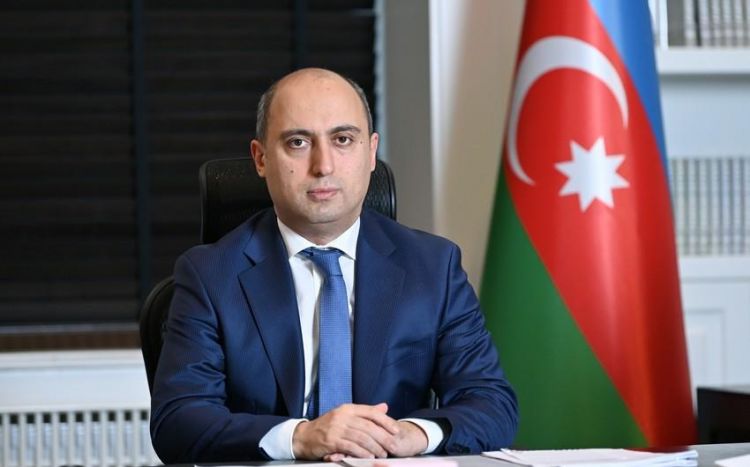 Nazir: Xaricdə təhsillə bağlı 1 000-dən artıq müraciət daxil olub