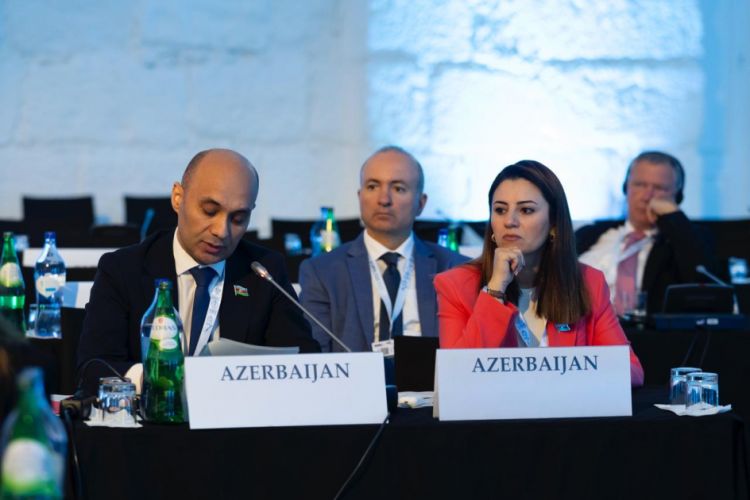 ATƏT PA beynəlxalq ictimaiyyəti ərazilərin minalardan təmizlənməsi və bərpası sahəsində Azərbaycana yardım etməyə çağırıb