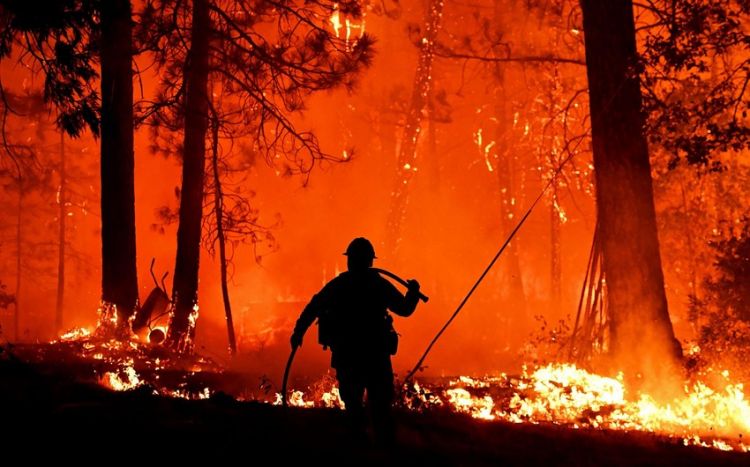 İstanbul ətrafında meşə yanğınlarını 700 canlı qüvvə və 7 təyyarə söndürür
