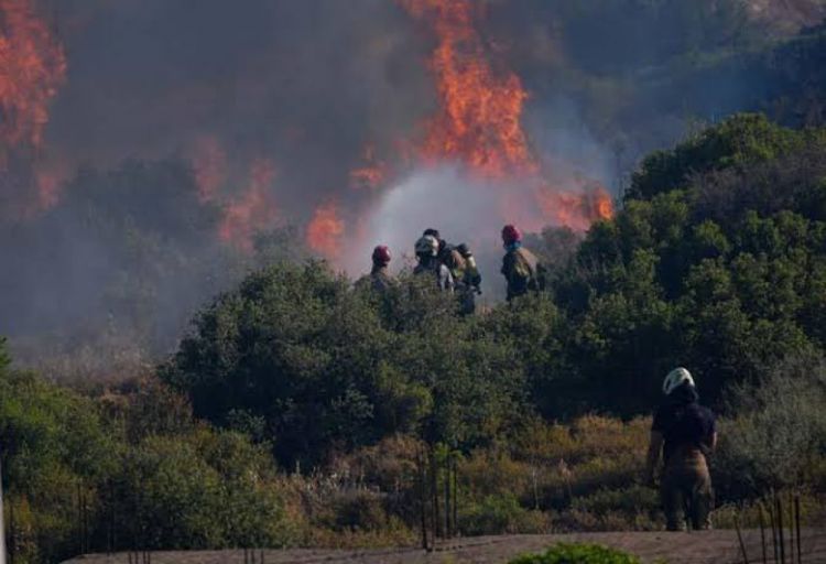 İzmirdəki yanğında bir meşə işçisi həlak olub
