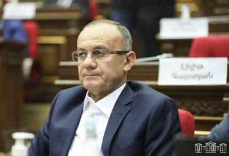 Ermənistan parlamenti Seyran Ohanyanın deputat toxunulmazlığını ləğv edib