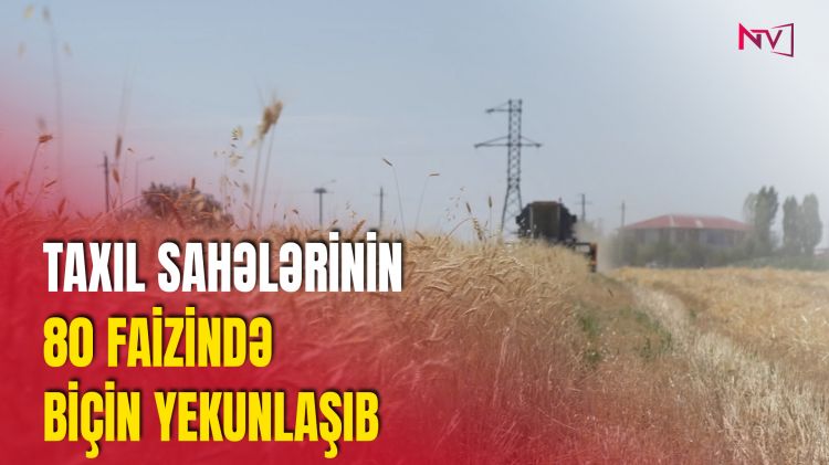 NAXÇIVANDA ƏN YÜKSƏK GÖSTƏRİCİNİ SƏDƏRƏK TAXILÇILARI ƏLDƏ EDİB<font color=red> - VİDEO</font>
