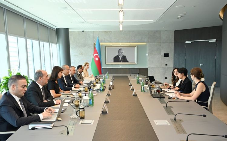 Azərbaycan IMF ilə vergi islahatlarını müzakirə edib