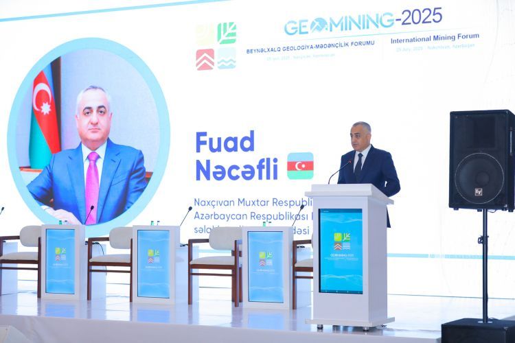 Fuad Nəcəfli: Muxtar respublikada son iki il ərzində 6 yeni yataq kəşf edilib