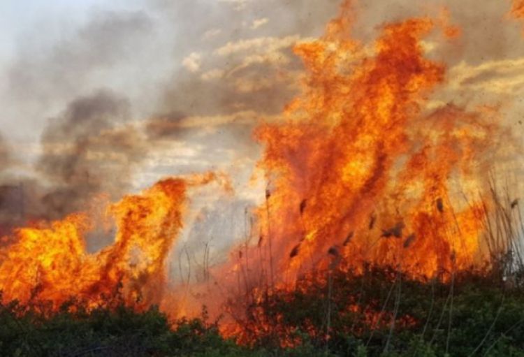 Ağdam, Xocalı, Xocavənd, Füzuli və Ağdərədə yanğınla mübarizə tədbirləri davam edir