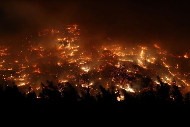 Yanğınlar səbəbindən 3500-dən çox Bursa sakini təxliyə olunub