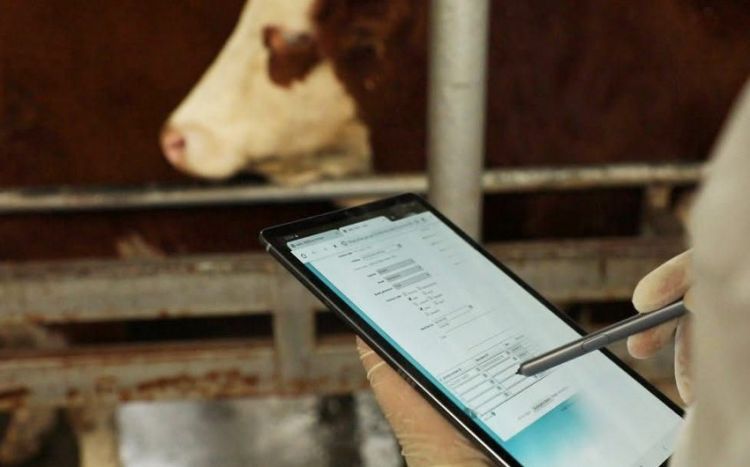 Qarabağ, Şərqi Zəngəzur və Naxçıvana dabaq xəstəliyindən azad status veriləcək