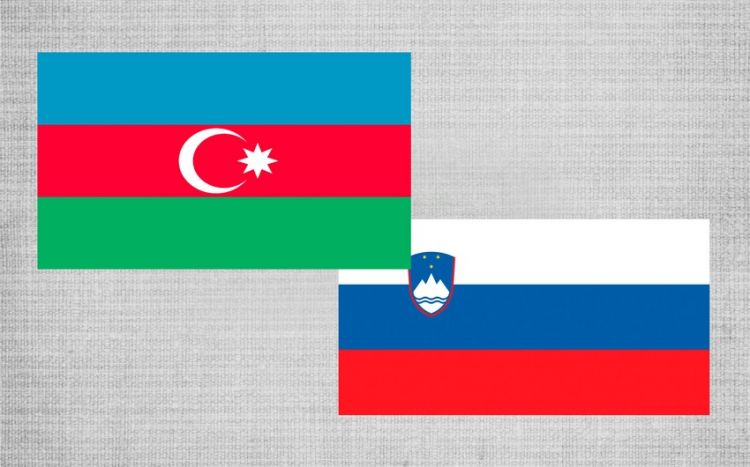 Sloveniya Azərbaycanla enerji əməkdaşlığının əsas istiqamətlərini açıqlayıb