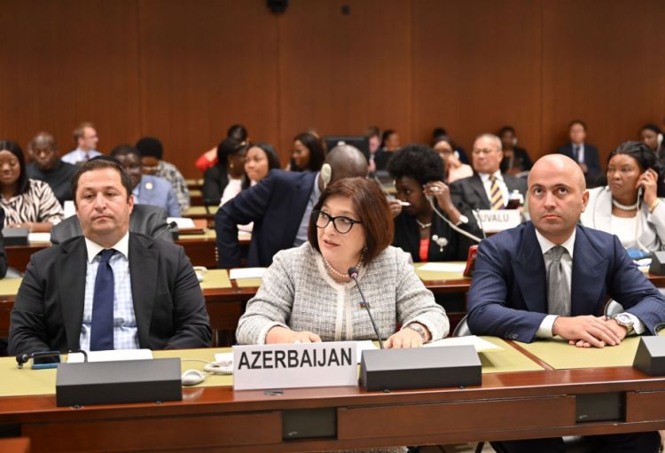 Sahibə Qafarova: İşğaldan azad edilmiş ərazilərin dirçəldilməsi DİM-lərin reallaşdırılmasına töhfə verir