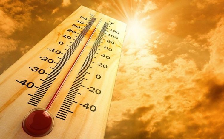 Naxçıvanda 41 dərəcə isti qeydə alınıb 