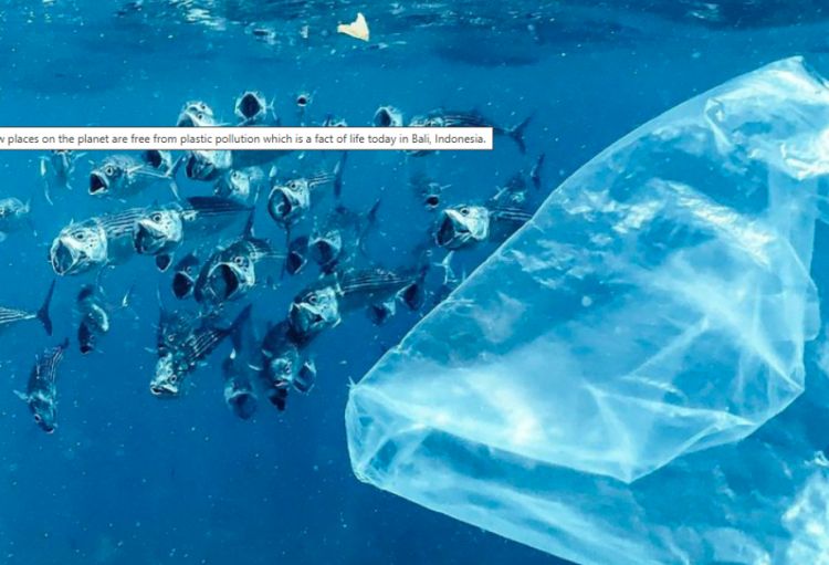 Cenevrədə plastiklərlə çirklənməyə qarşı qlobal saziş ətrafında müzakirələr davam edir