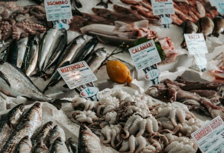 BMT-nin yeni təşəbbüsü: Nüvə texnologiyası dəniz məhsulları ilə bağlı fırıldaqçılığı aradan qaldıra bilər