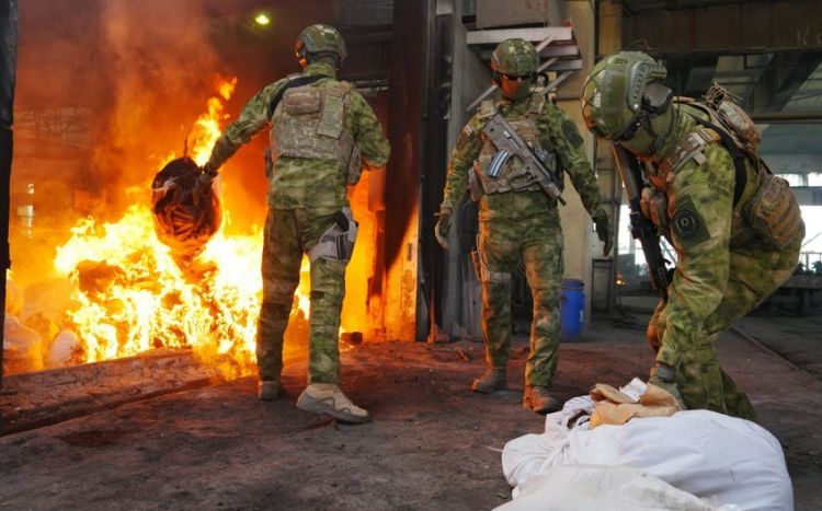 Cari ildə 10 tondan çox narkotik vasitə məhv edilib