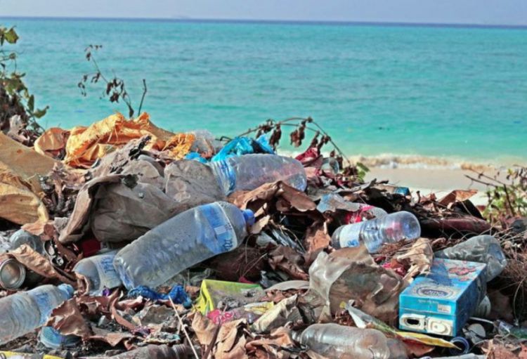 BMT-nin plastik çirklənmə ilə bağlı danışıqları nəticəsiz başa çatıb